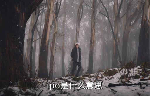 ipo是什么意思呢,首次公開募股是什么意思?