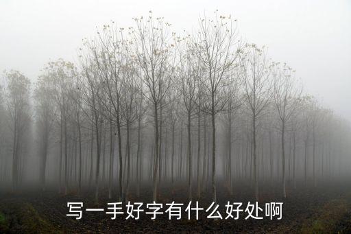 寫一手好字有什么好處啊