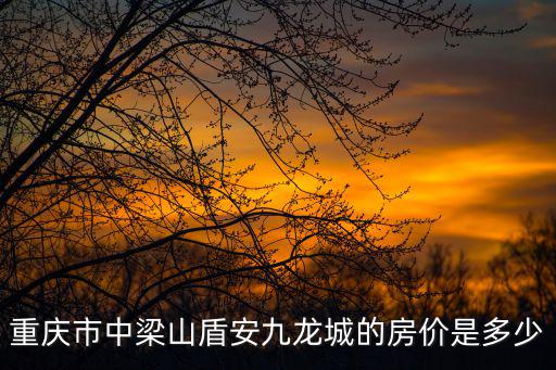 重慶市中梁山盾安九龍城的房價是多少