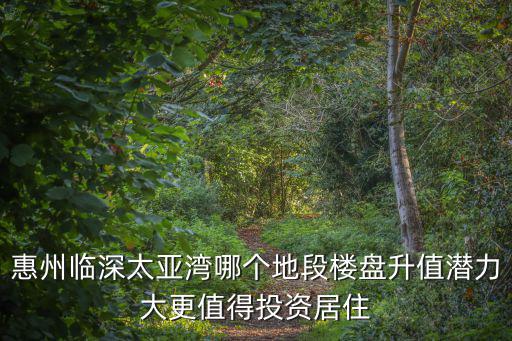 惠州臨深太亞灣哪個(gè)地段樓盤升值潛力大更值得投資居住