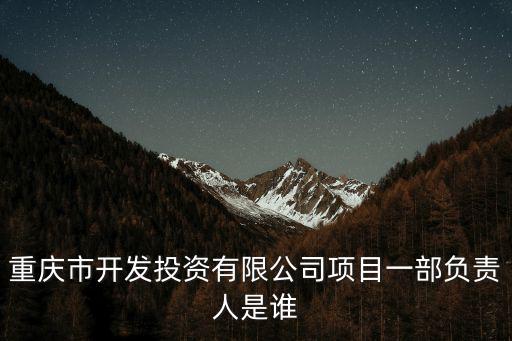 重慶市開發投資有限公司項目一部負責人是誰