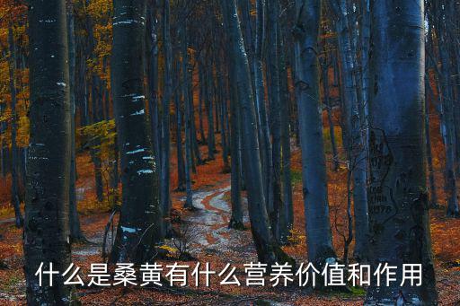 桑黃是什么,關于桑黃的五個知識點