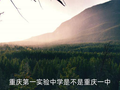 重慶第一實驗中學是不是重慶一中