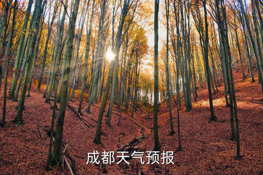 成都市新都天氣預(yù)報(bào)15天氣，成都天氣預(yù)報(bào)