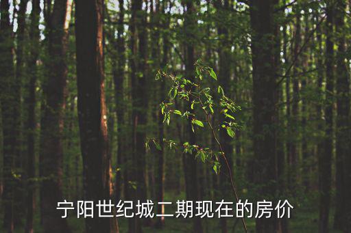 寧陽世紀(jì)城二期現(xiàn)在的房價