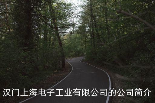 上海市灘涂造地有限公司 概況，漢門上海電子工業有限公司的公司簡介