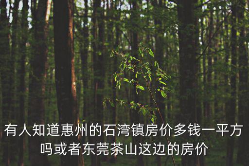 有人知道惠州的石灣鎮房價多錢一平方嗎或者東莞茶山這邊的房價