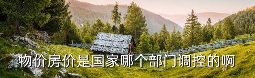 物價房價是國家哪個部門調控的啊