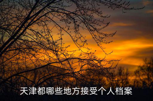 天津都哪些地方接受個人檔案
