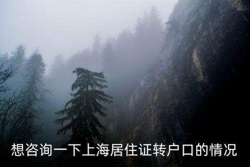上海居轉戶流程及狀態說明，想咨詢一下上海居住證轉戶口的情況