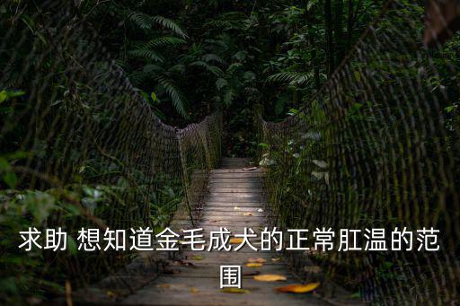 求助 想知道金毛成犬的正常肛溫的范圍
