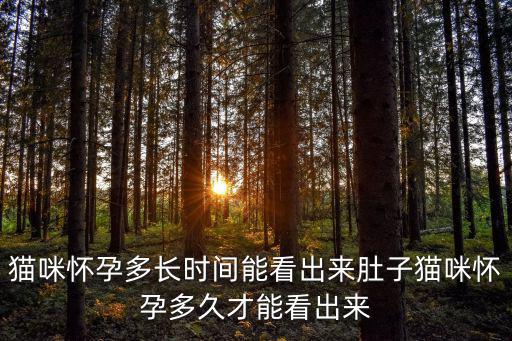 貓懷孕多少天顯肚，貓懷孕后多久看得出來(lái)