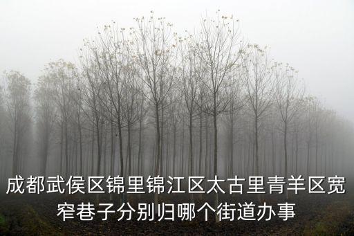 成都武侯區(qū)錦里錦江區(qū)太古里青羊區(qū)寬窄巷子分別歸哪個街道辦事