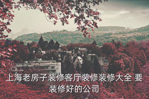上海老房子裝修客廳裝修裝修大全 要裝修好的公司