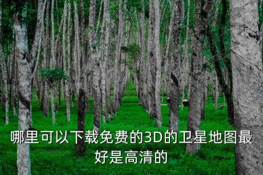 手機衛星3d實景地圖下載免費，哪里可以下載免費的3D的衛星地圖最好是高清的