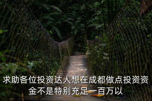 求助各位投資達人想在成都做點投資資金不是特別充足一百萬以