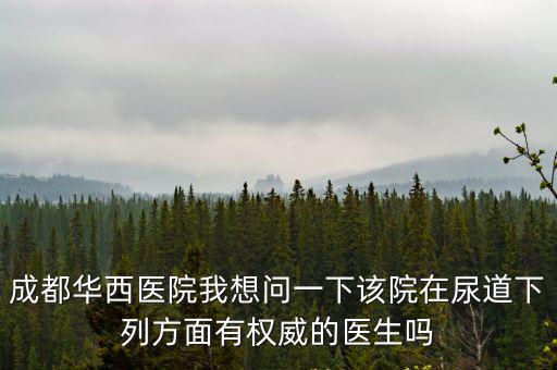 成都華西醫院我想問一下該院在尿道下列方面有權威的醫生嗎