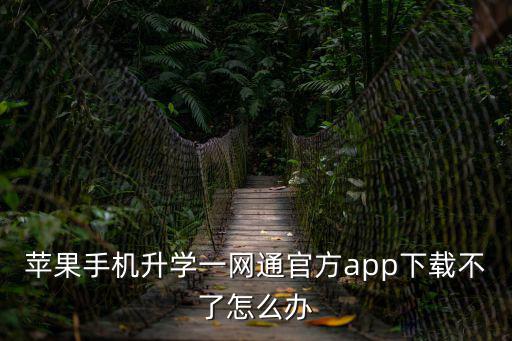 蘋果手機升學(xué)一網(wǎng)通官方app下載不了怎么辦