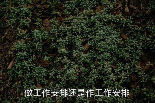 做工作安排還是作工作安排