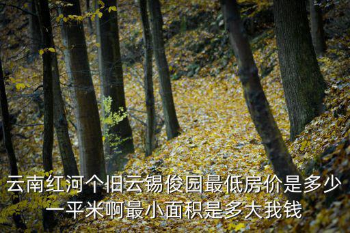 云南紅河個(gè)舊云錫俊園最低房?jī)r(jià)是多少一平米啊最小面積是多大我錢