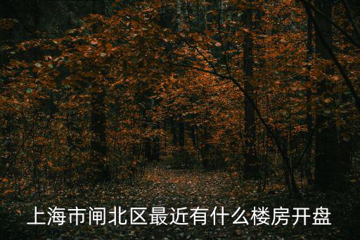 上海市閘北區最近有什么樓房開盤