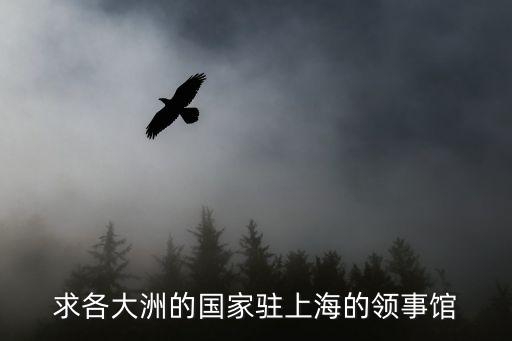 上海市長寧區丹麥領事館，丹麥駐上海簽證中心地址在那我從上海南站怎么走