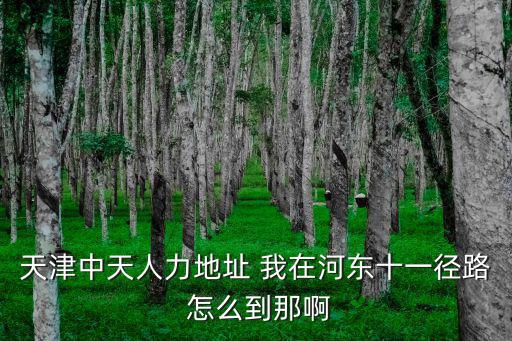 天津中天人力地址 我在河東十一徑路 怎么到那啊