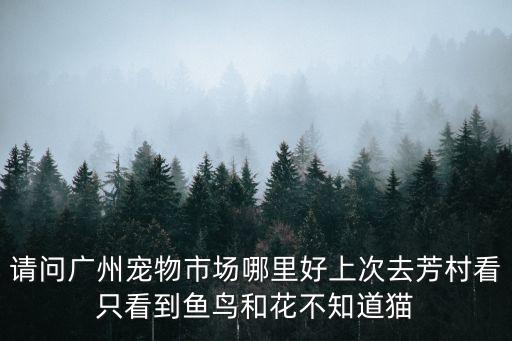 廣州寵市場在哪里，廣州賣狗的地方在哪呢