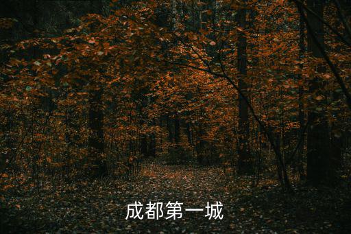成都第一城