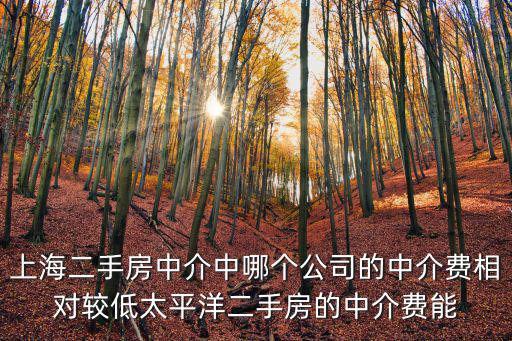 上海二手房中介中哪個公司的中介費相對較低太平洋二手房的中介費能