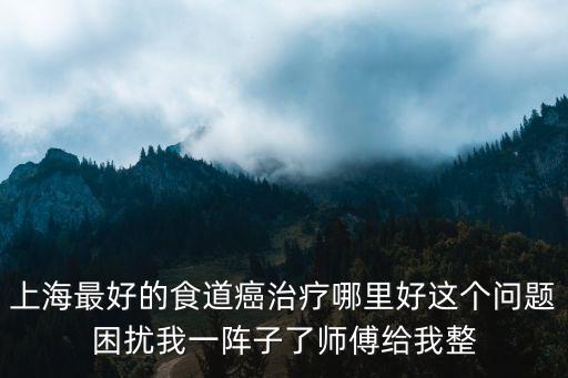 上海最好的食道癌治療哪里好這個問題困擾我一陣子了師傅給我整