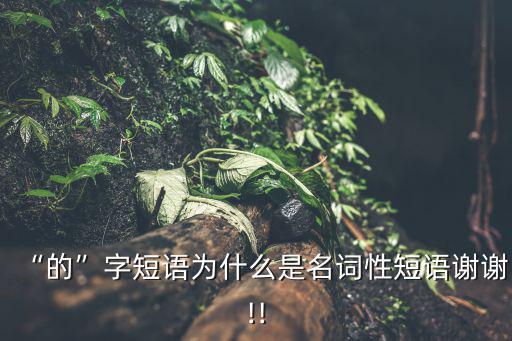 “的”字短語為什么是名詞性短語謝謝!!