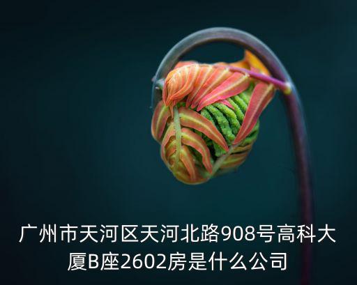 廣州市天河區(qū)天河北路908號高科大廈B座2602房是什么公司