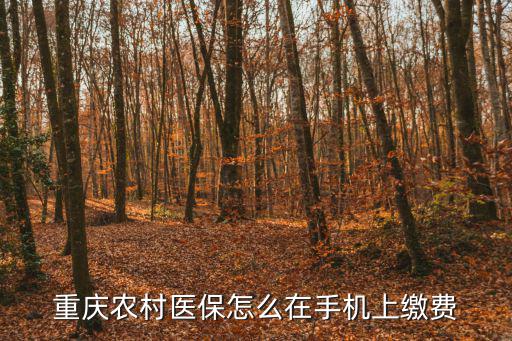 重慶農村醫保怎么在手機上繳費