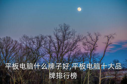 平板電腦什么牌子好,平板電腦十大品牌排行榜