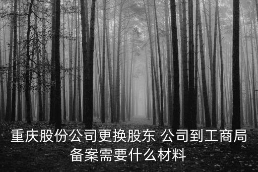 重慶市決議五屆六次全會，重慶股份公司更換股東 公司到工商局備案需要什么材料
