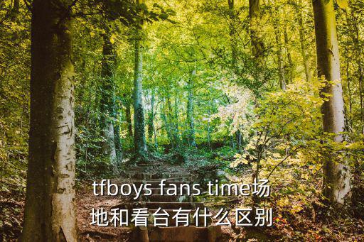tfboys fans time場地和看臺有什么區別