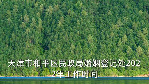 天津市和平區民政局婚姻登記處2022年工作時間