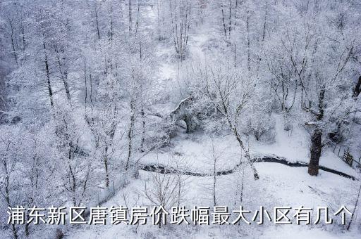唐鎮哪個小區房價最低，浦東新區唐鎮房價跌幅最大小區有幾個