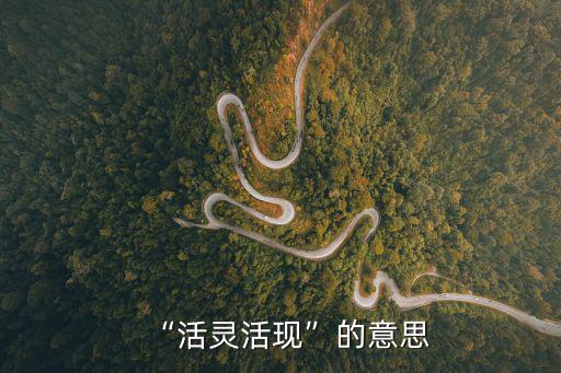 活靈活現(xiàn),靈活活現(xiàn)