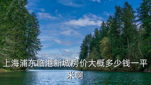 上海浦東臨港新城房價大概多少錢一平米啊
