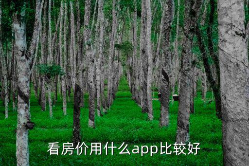 看房價用什么app比較好