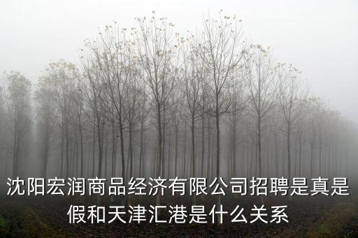 沈陽宏潤商品經濟有限公司招聘是真是假和天津匯港是什么關系