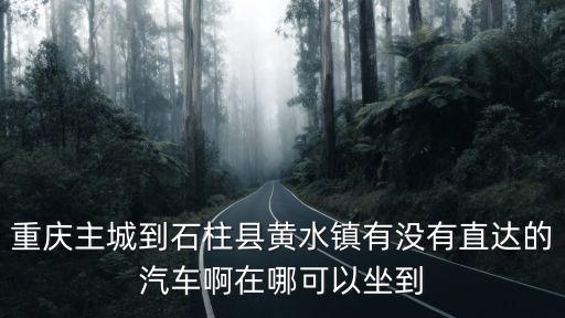 重慶主城到石柱縣黃水鎮有沒有直達的汽車啊在哪可以坐到