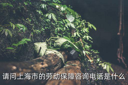 上海勞動仲裁電話，上海勞動局電話多少