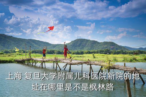 上海 復旦大學附屬兒科醫院新院的地址在哪里是不是楓林路