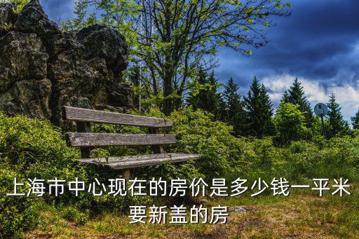 上海市中心現在的房價是多少錢一平米要新蓋的房
