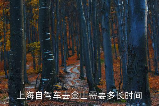 金山到上海市區一般開車要多久，金山石化到上海市區交通變化