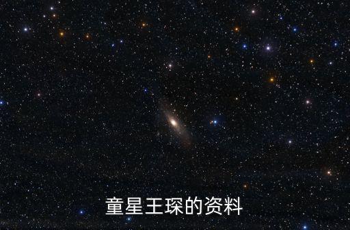 童星王琛的資料