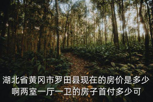 羅田哪個小區房價最低，湖北省黃岡市羅田縣現在的房價是多少啊兩室一廳一衛的房子首付多少可